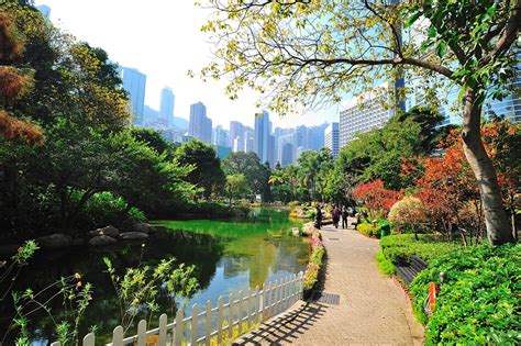 香港有多少公園？談論公園數量只是一個開端，香港的公園不僅僅是綠意盎然的休閒場所，更是城市生活的重要組成部分。